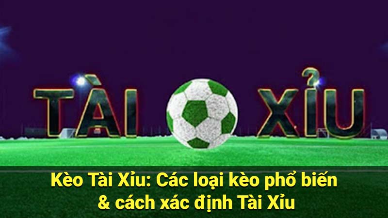 Kèo Tài Xỉu: Các loại kèo phổ biến & cách xác định Tài Xỉu 4 keo tai